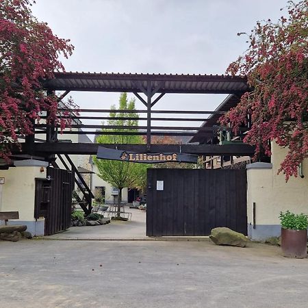 Moderne Ferienwohnung Black Beauty Auf Idyllischem Reiterhof Naehe Burg Eltz Münstermaifeld Eksteriør bilde