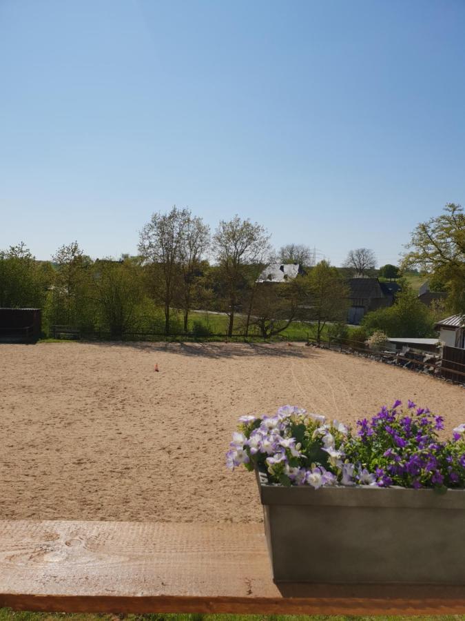 Moderne Ferienwohnung Black Beauty Auf Idyllischem Reiterhof Naehe Burg Eltz Münstermaifeld Eksteriør bilde