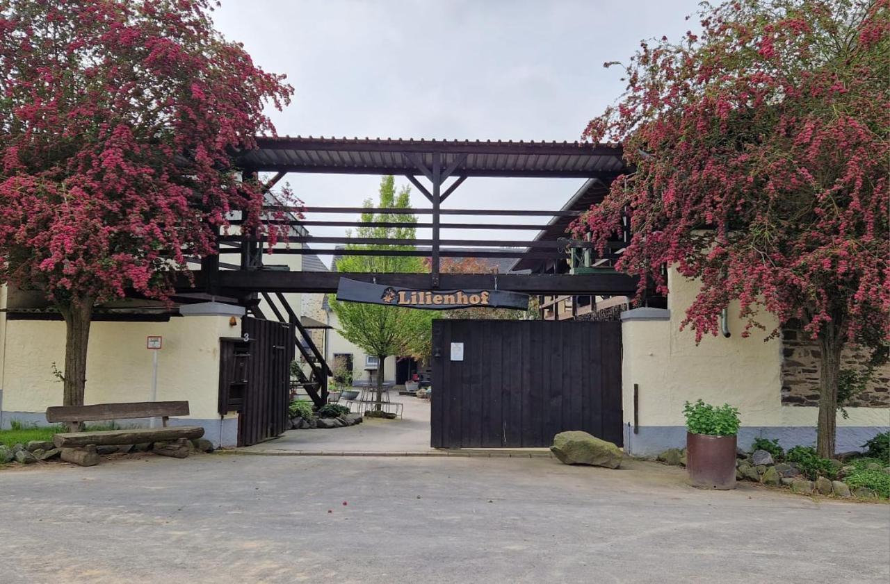 Moderne Ferienwohnung Black Beauty Auf Idyllischem Reiterhof Naehe Burg Eltz Münstermaifeld Eksteriør bilde