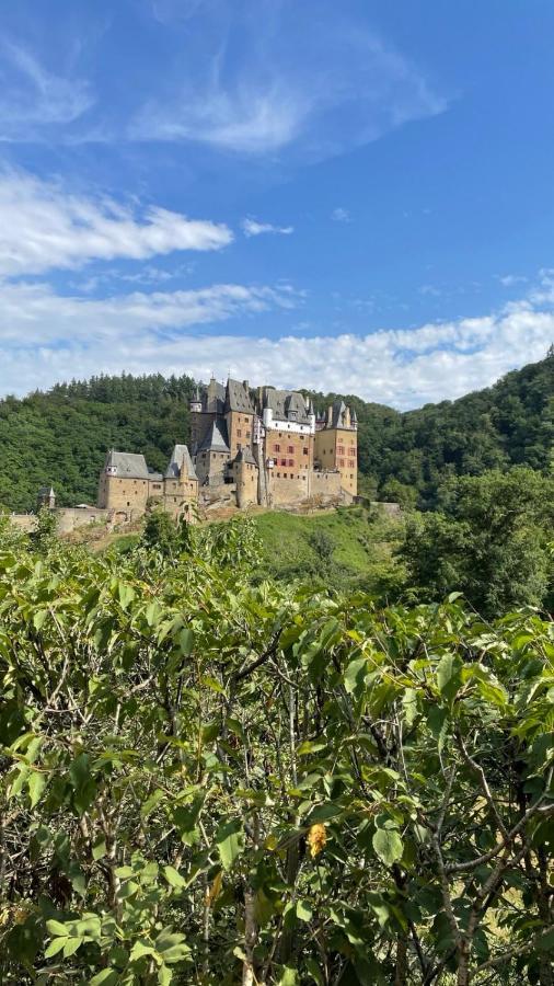 Moderne Ferienwohnung Black Beauty Auf Idyllischem Reiterhof Naehe Burg Eltz Münstermaifeld Eksteriør bilde